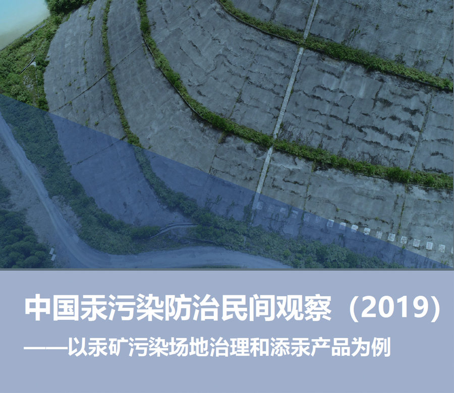 中国汞污染防治民间观察（2019）——以汞矿污染场地治理和添汞产品为例