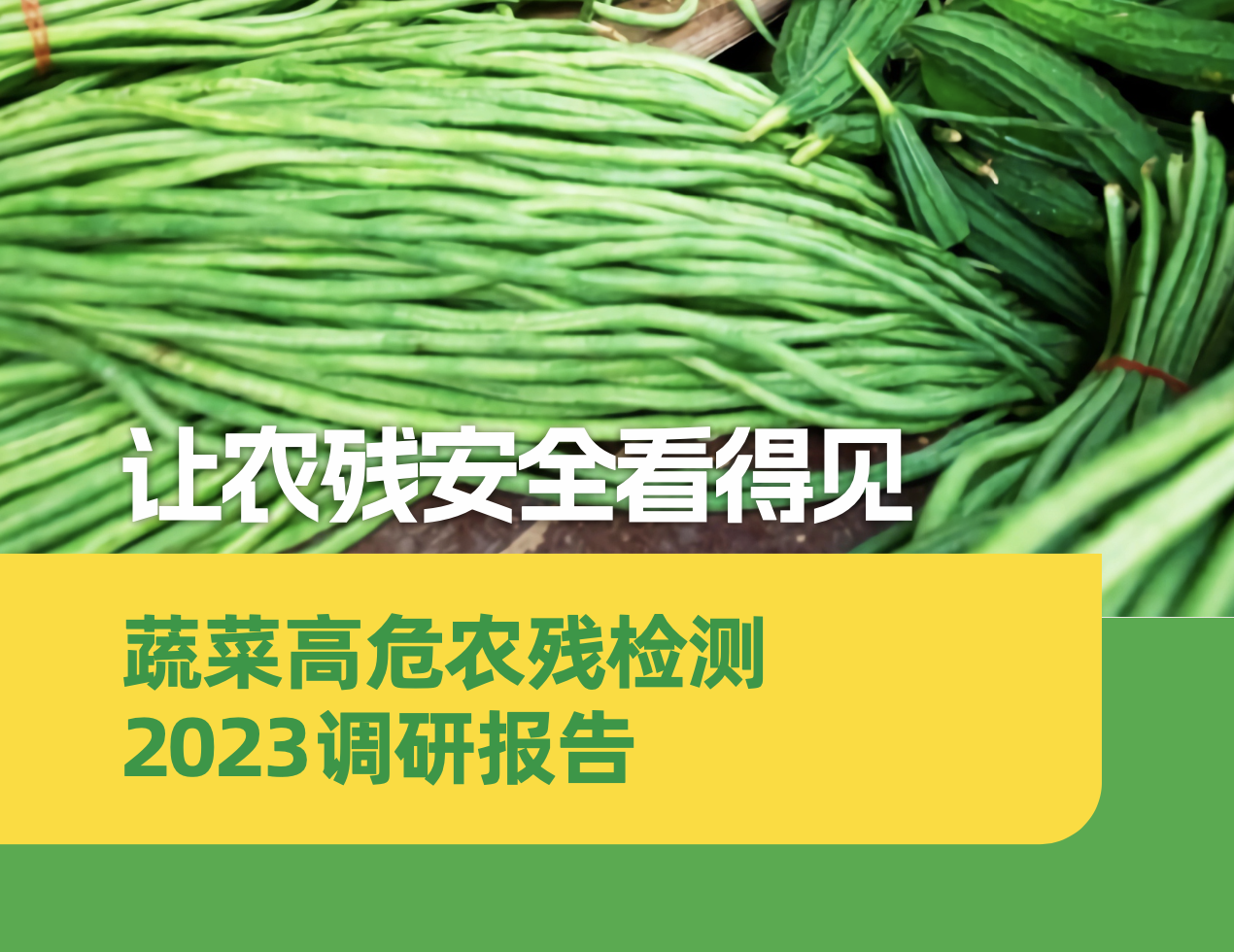 让农残安全看得见 蔬菜高危农残检测2023调研报告